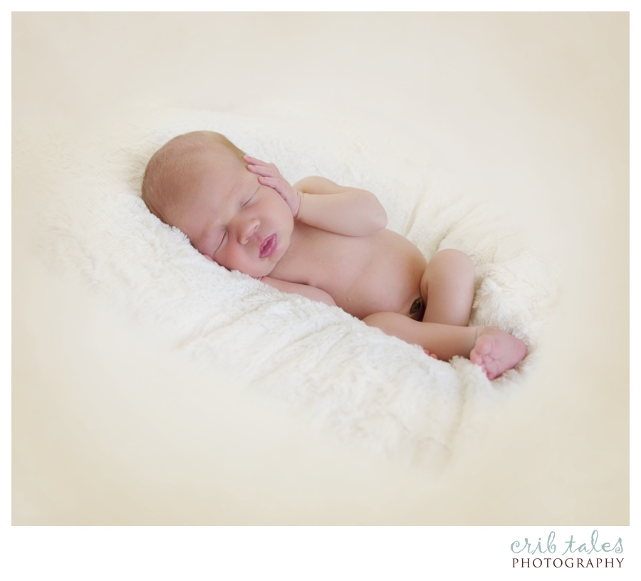 Castle Rock Newborn Photographer 